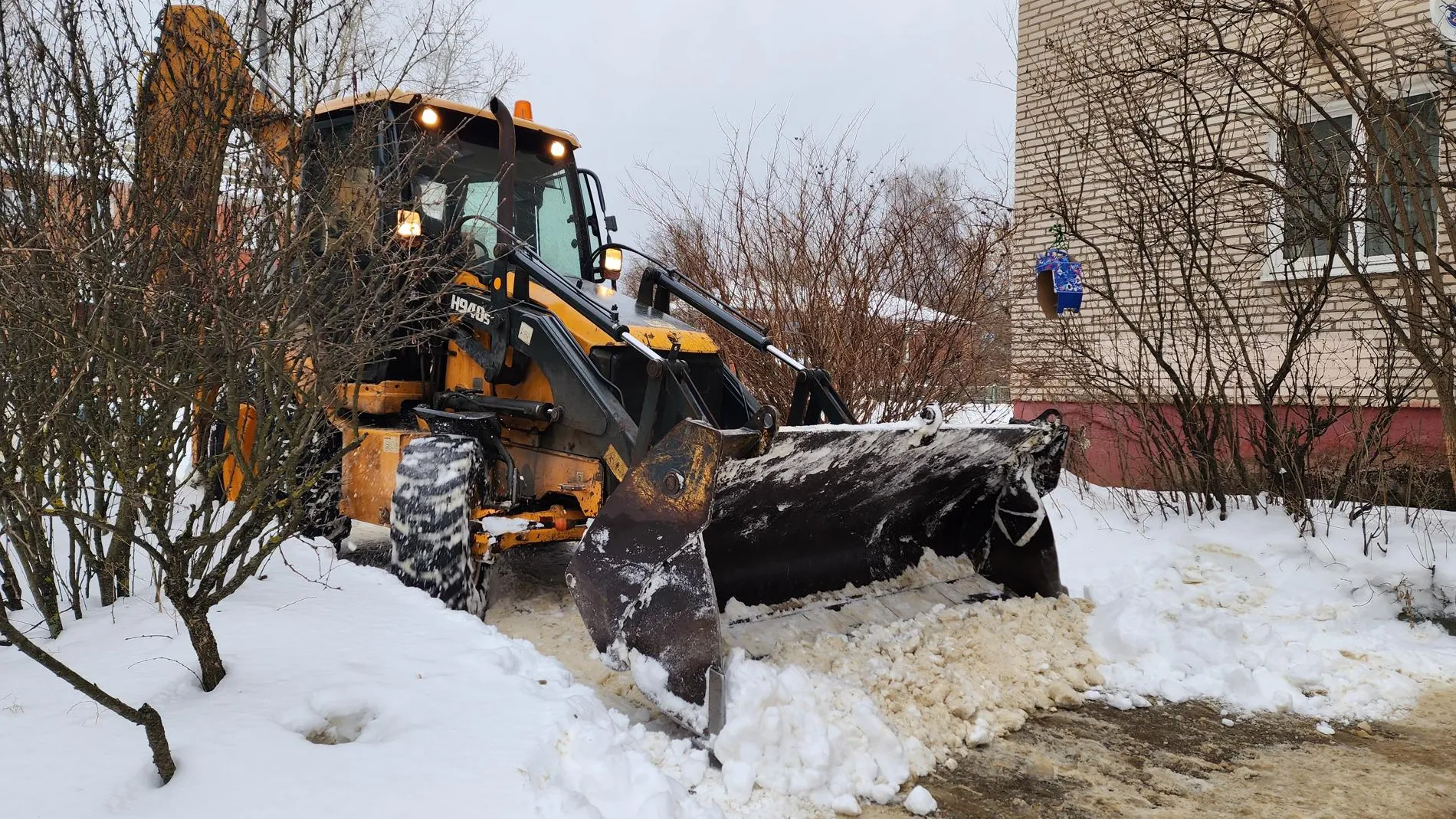Фото: Светлана Плотникова