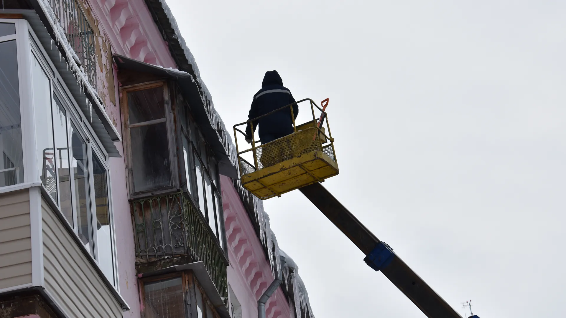 Фото: Елена Забелина