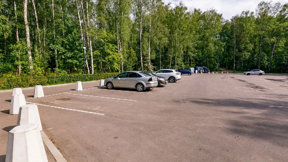 Фото: медиасток.рф