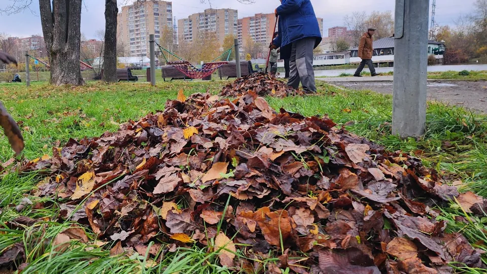 Фото: Министерство благоустройства Московской области