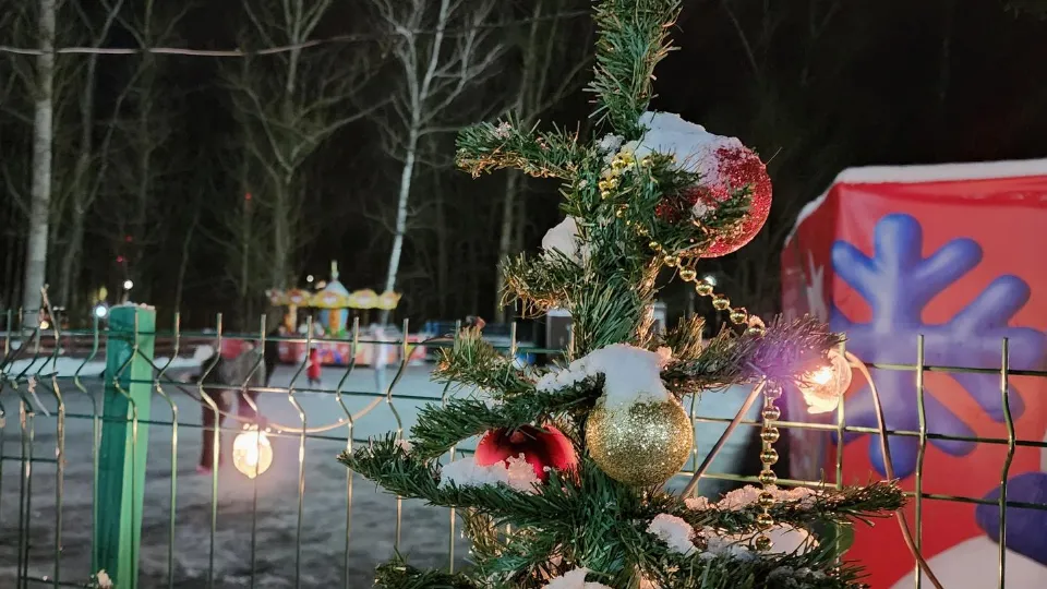 Фото: Министерство благоустройства Московской области