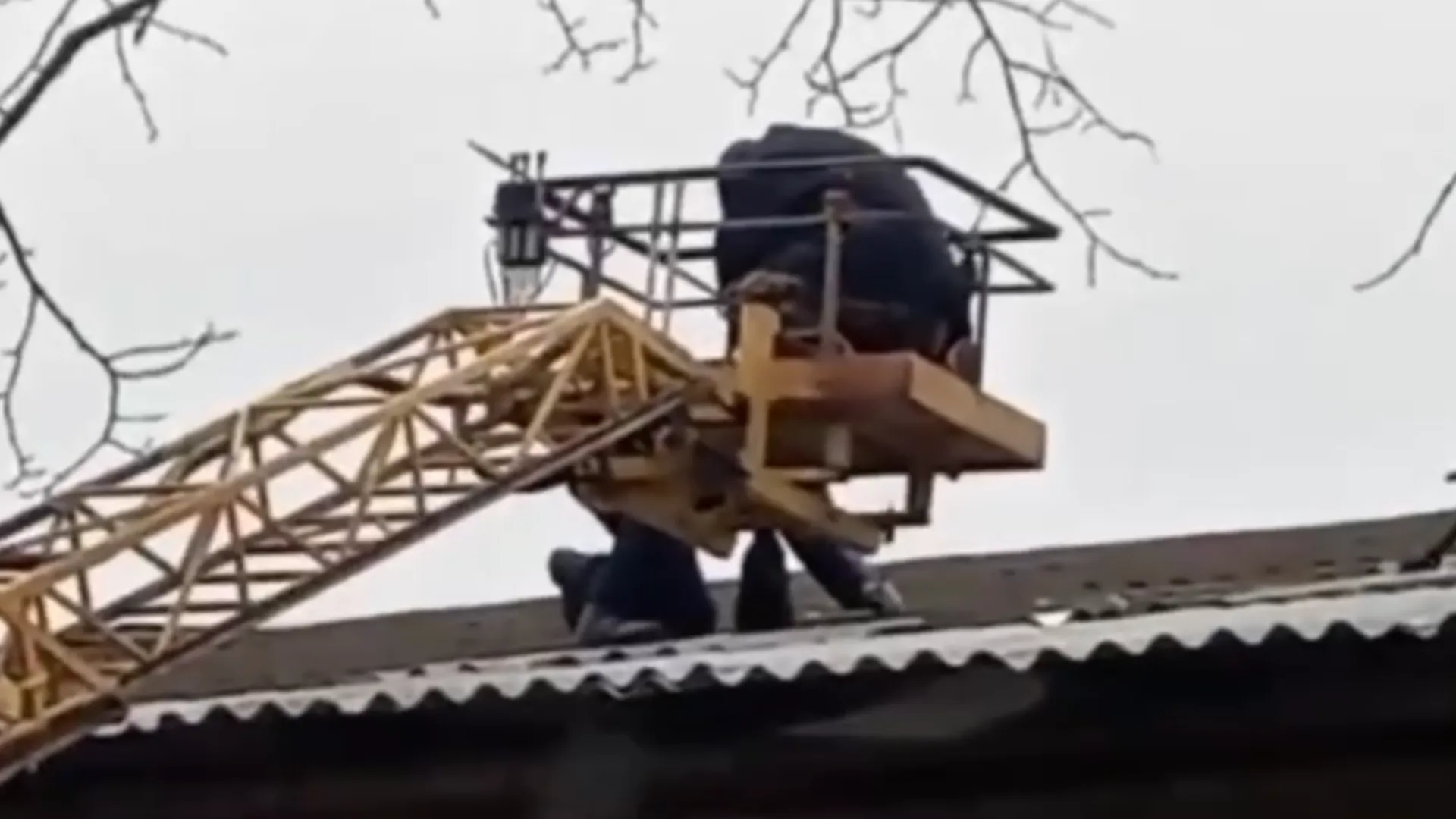 Фото: пресс-служба администрации г.о. Воскресенск