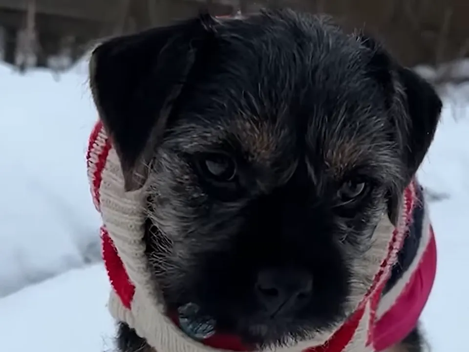 Фото: личный архив Кристины Беловой
