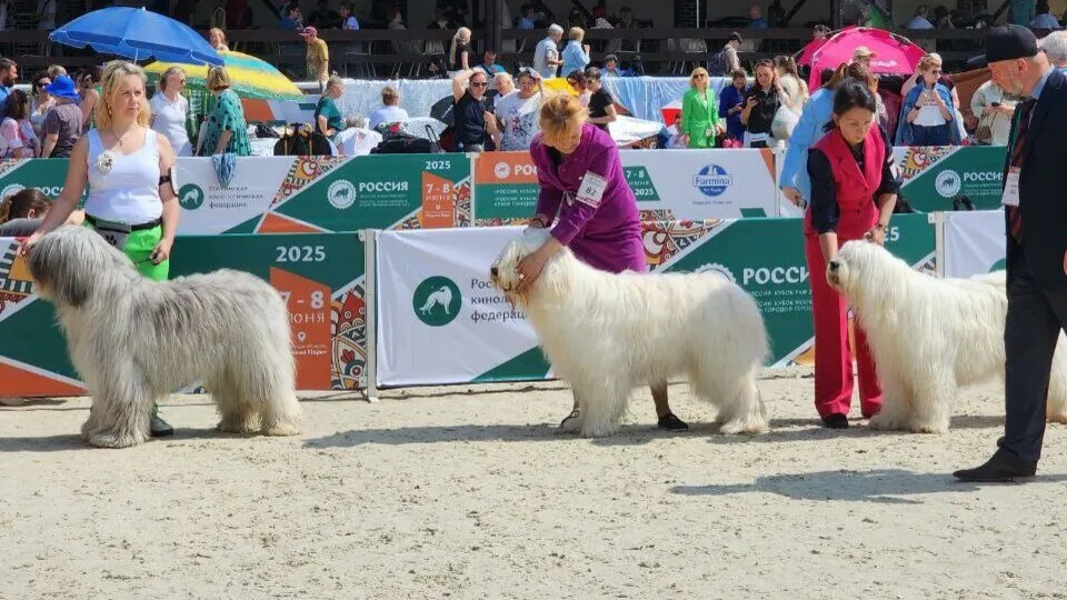 Фото: МедиаБанк Подмосковья/Евгений Рой