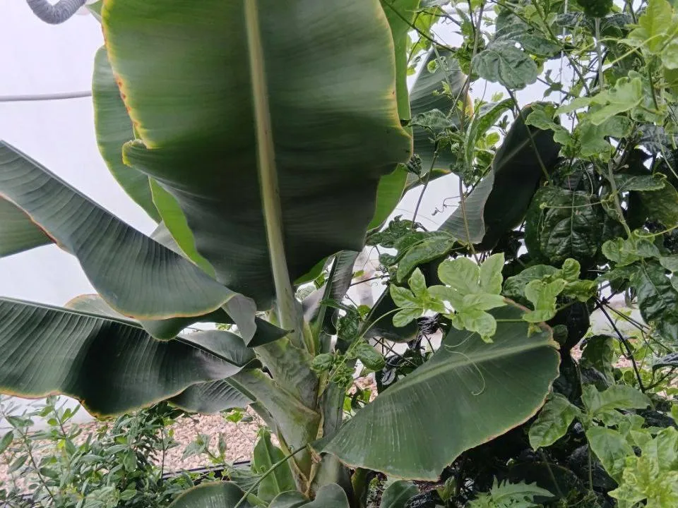 Фото: Министерство по содержанию территорий и государственному жилищному надзору МО