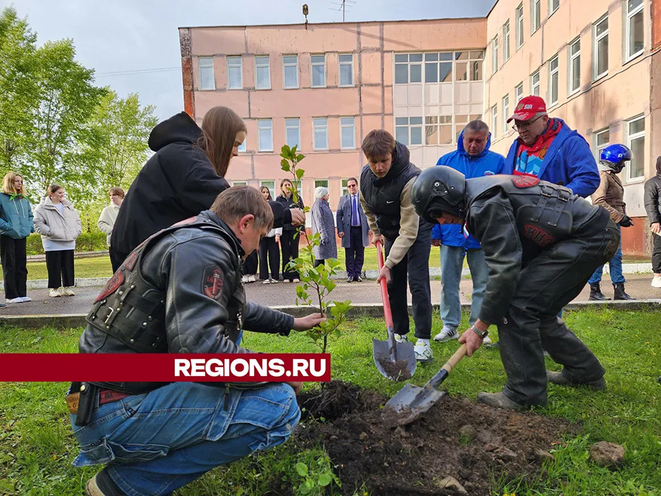 Фото: Светлана Плотникова