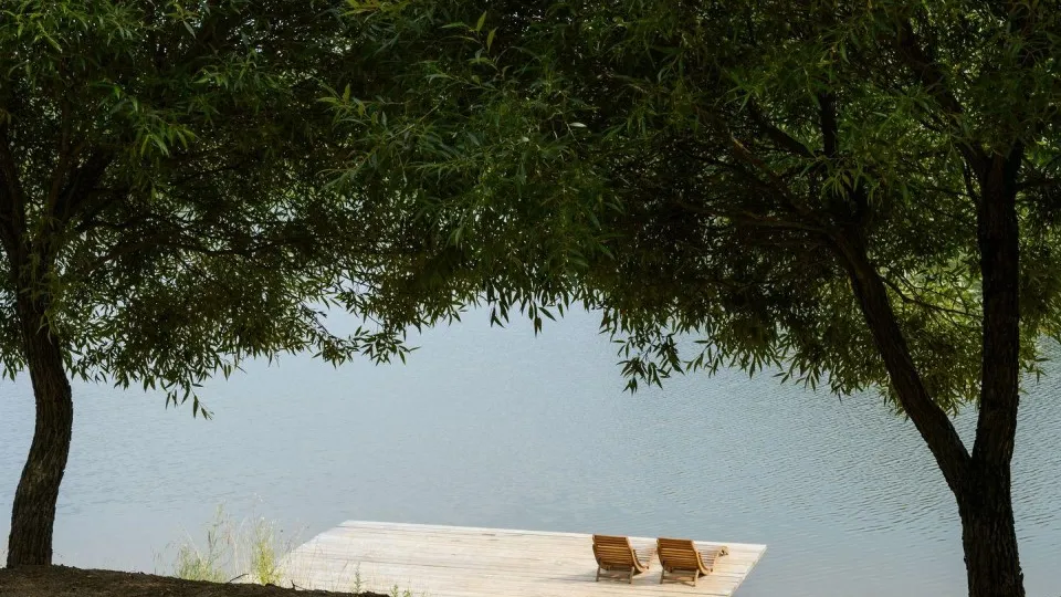 Фото: Медиаархив Подмосковья