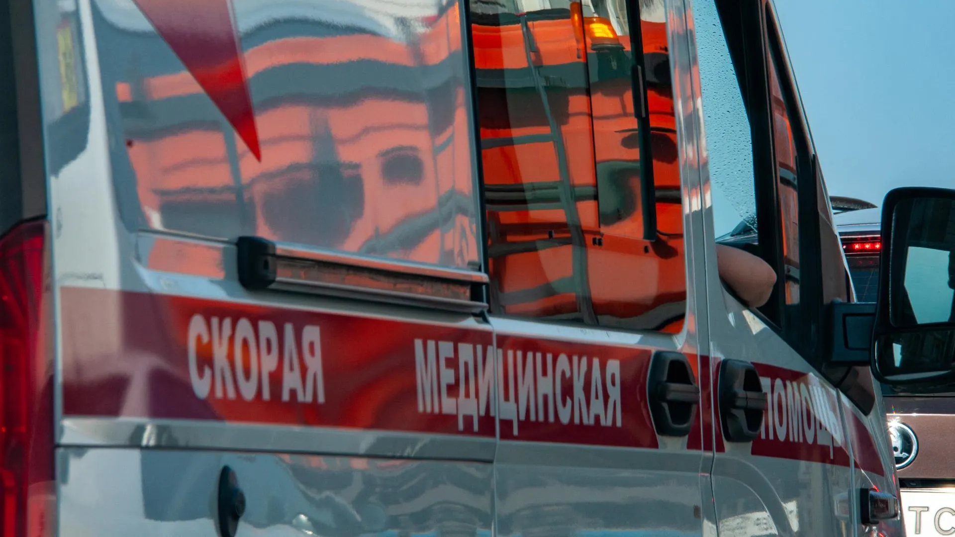 Svetlana Vozmilova/Global Look Press