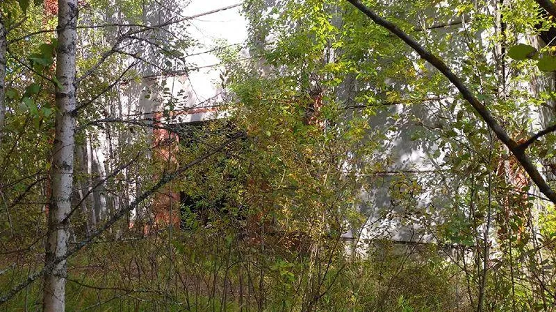 Заброшенные шампиньонницы под Клином