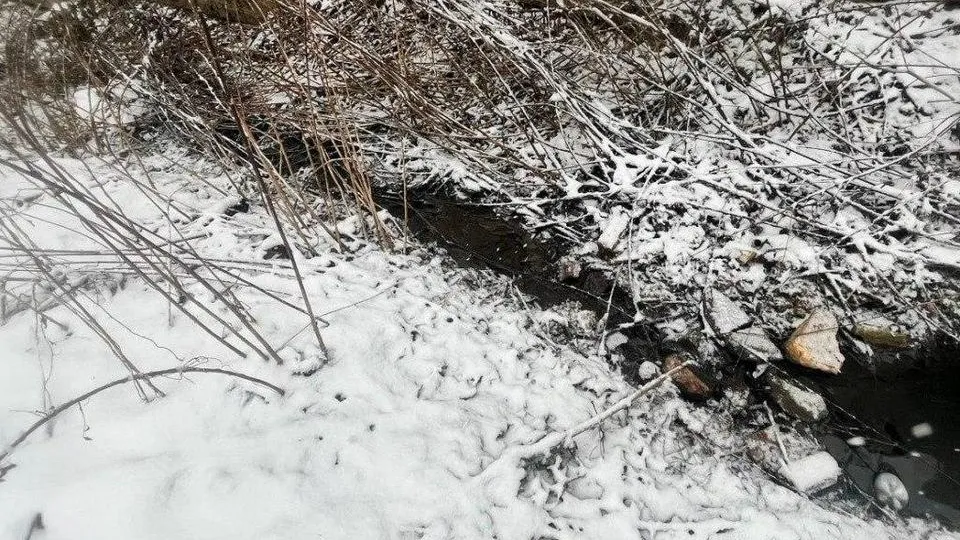 Фото: пресс-служба администрации городского округа Мытищи