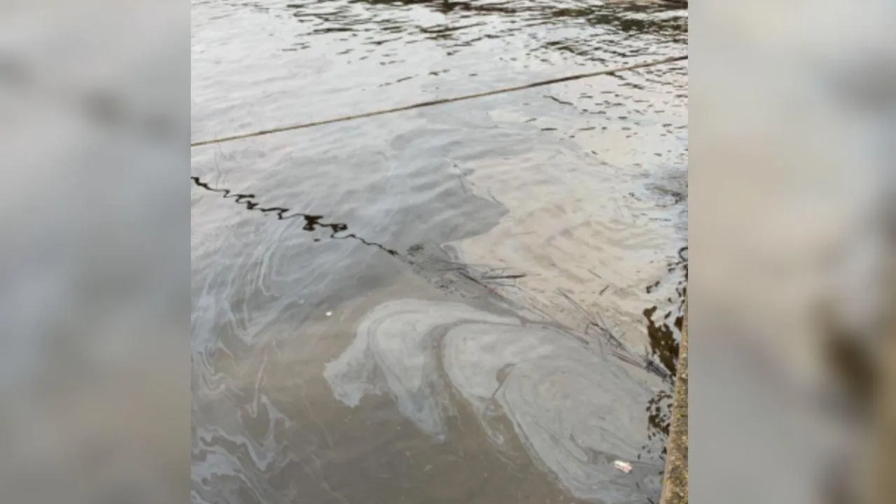 В акватории Кронштадтской гавани зафиксирован разлив нефтепродуктов