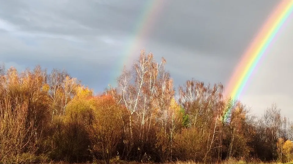 Фото: Константин Кошелев