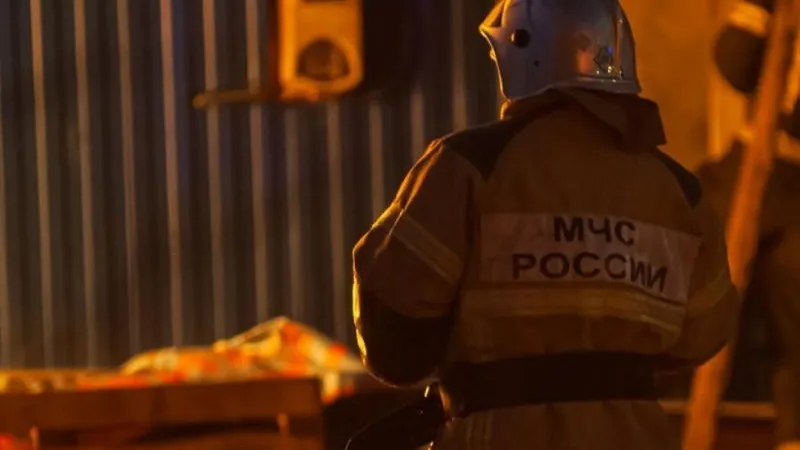 Мужчина и женщина заживо сгорели в собственном доме в Башкирии