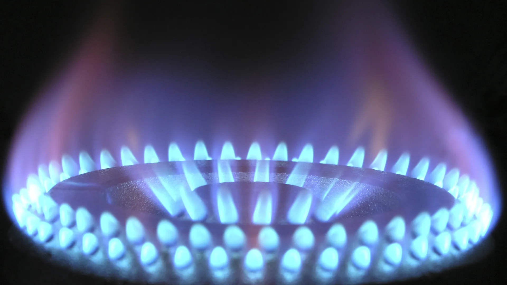 Фото: pxhere.com