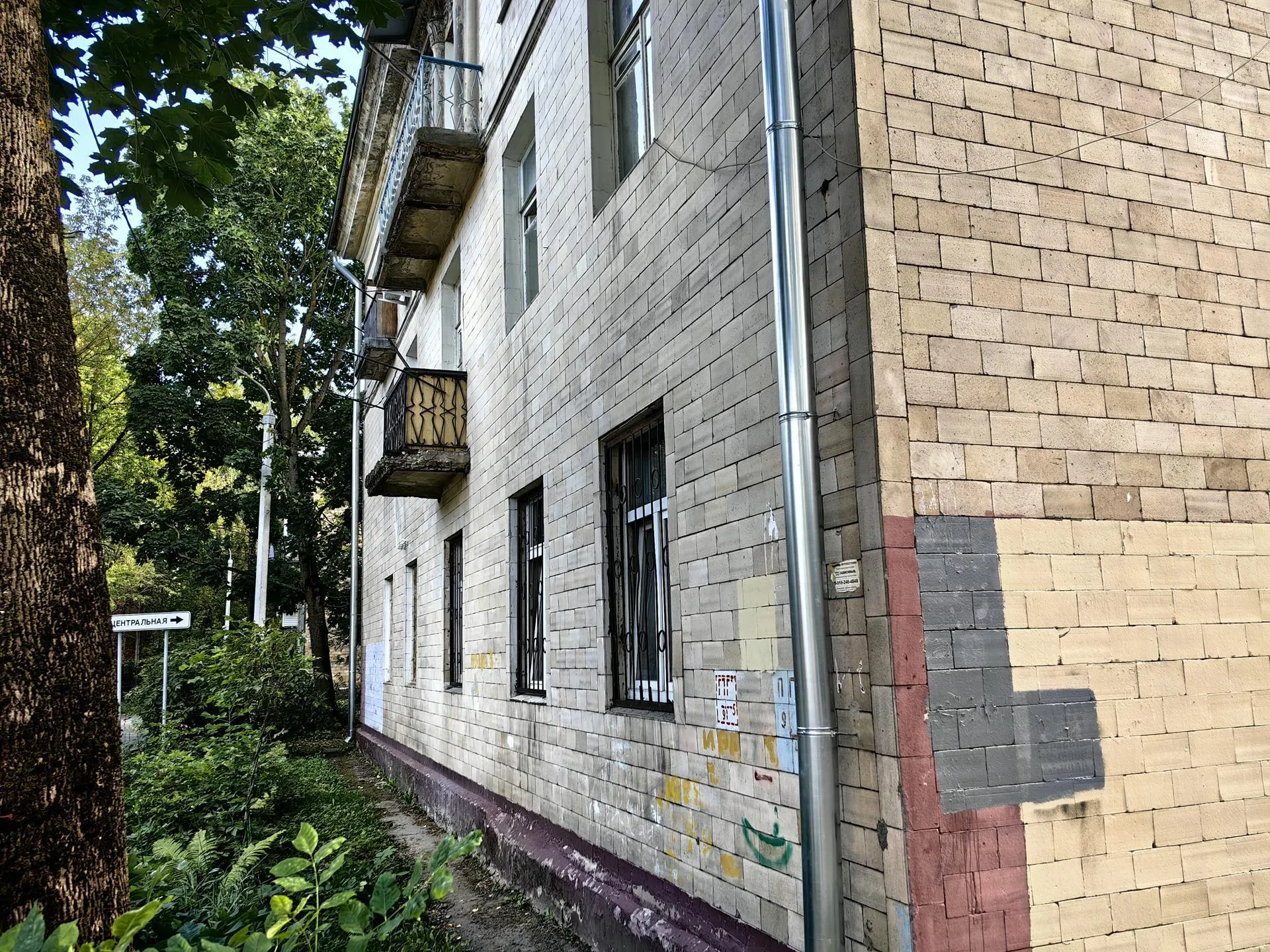 Елена Катасонова