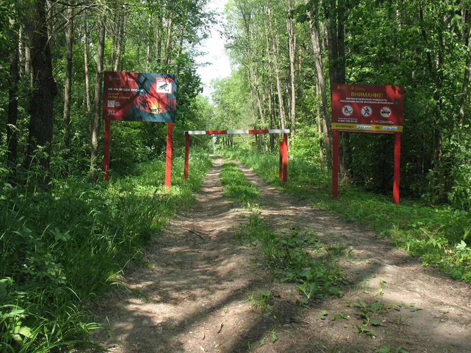 Фото: Комитет лесного хозяйства Московской области