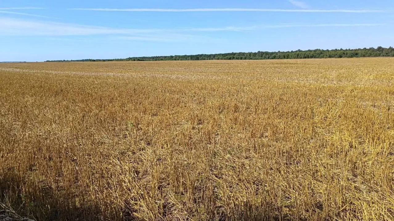 Фото: Министерство имущественных отношений Московской области