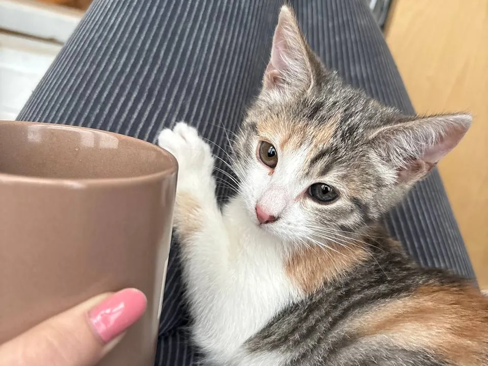 Фото: Елизавета Лоншакова