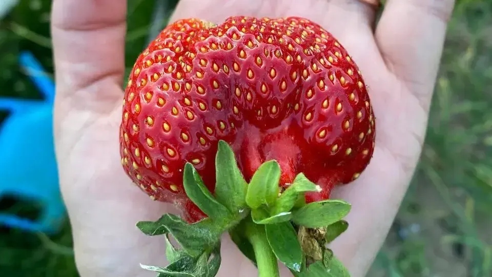 Фото из соцсетей