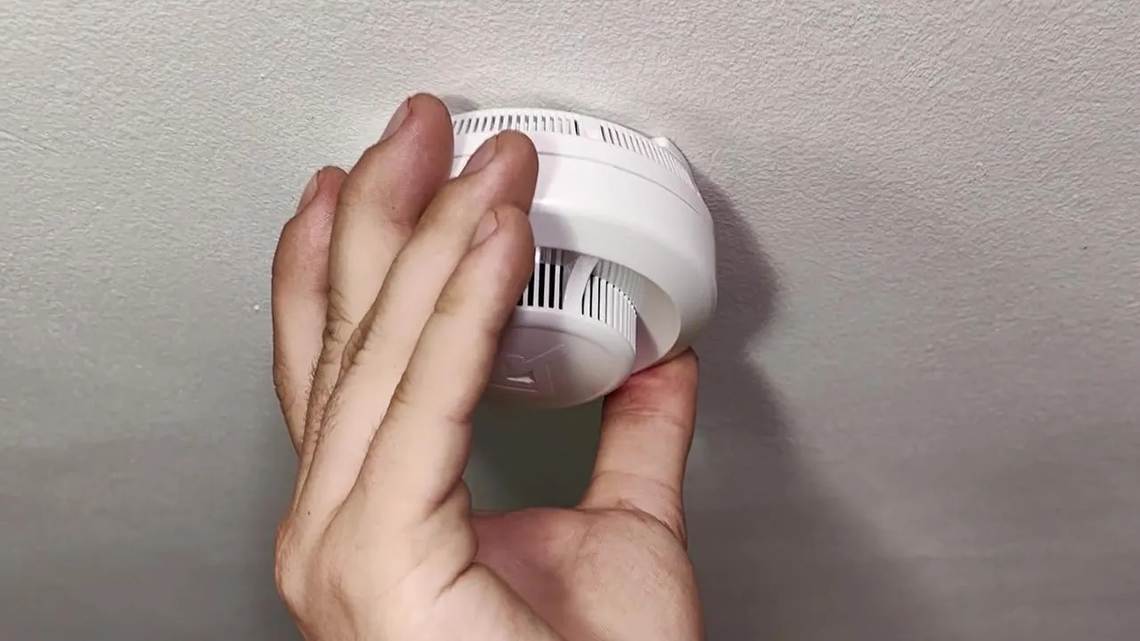 МедиаБанк Подмосковья/Ксения Казакова