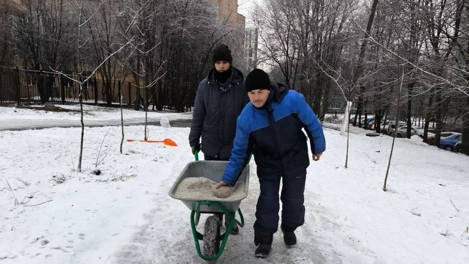Фото: МЦУР Одинцовского г.о.