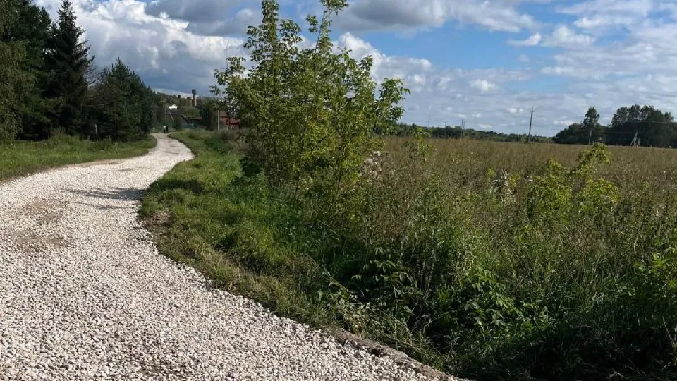 Фото: пресс-служба администрации м.о. Серебряные Пруды