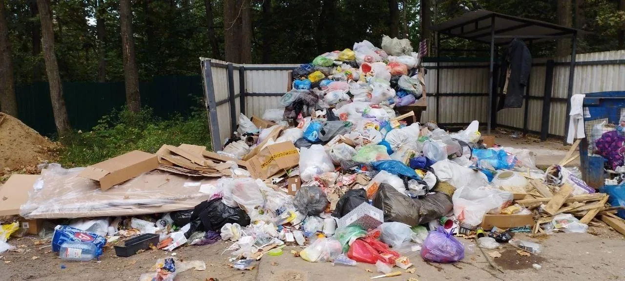 Фото: соцсети