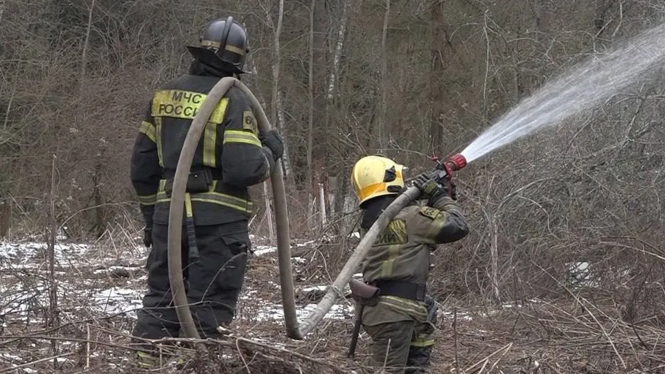 Фото: пресс-служба администрации г.о. Солнечногорск