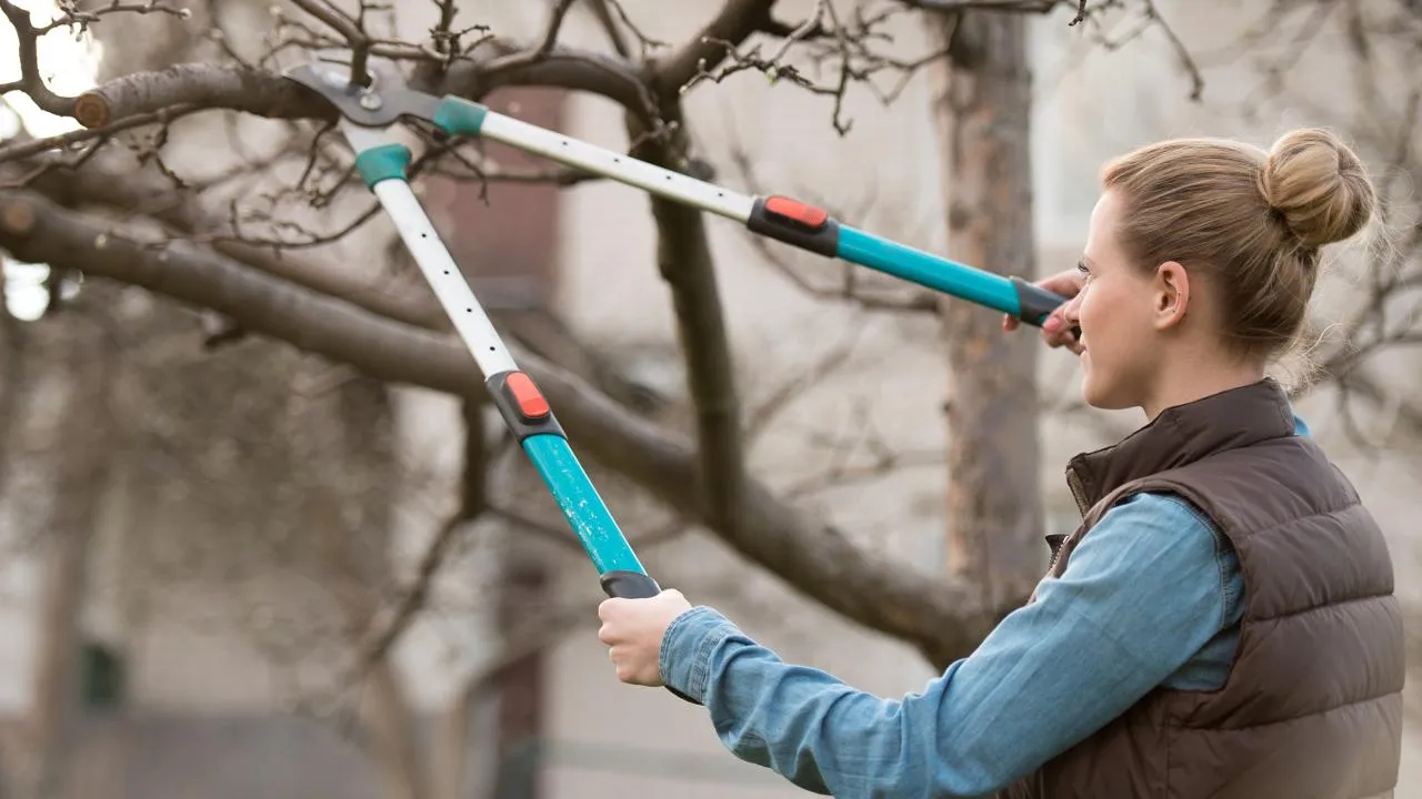 istockphoto.com/sasapanchenko