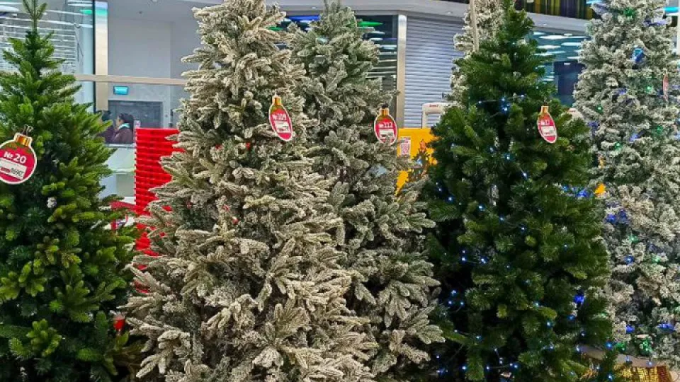 Фото: REGIONS/Эльвира Сафина