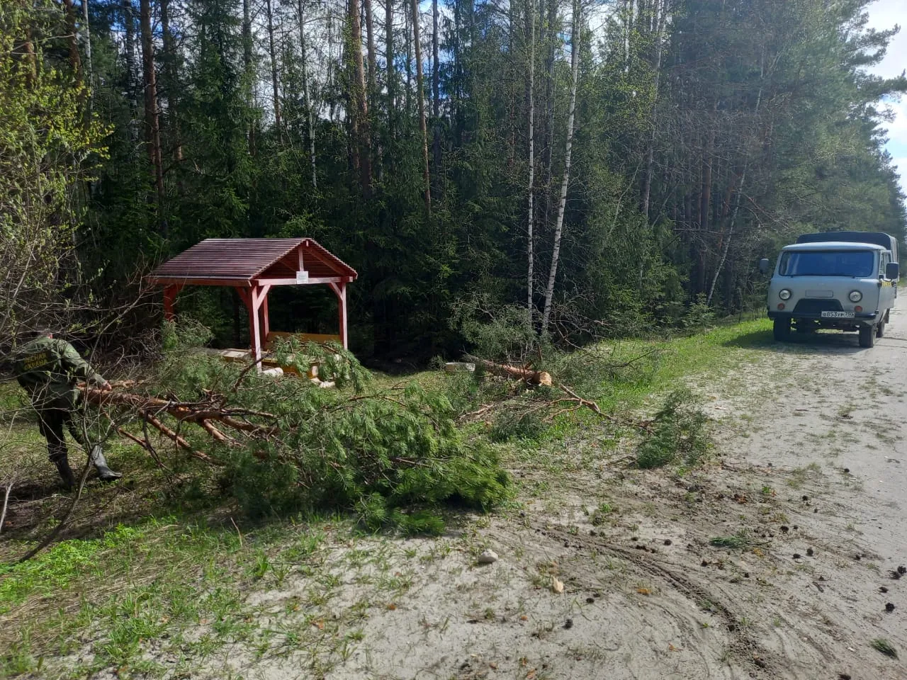 Фото: Егорьевское лесничество