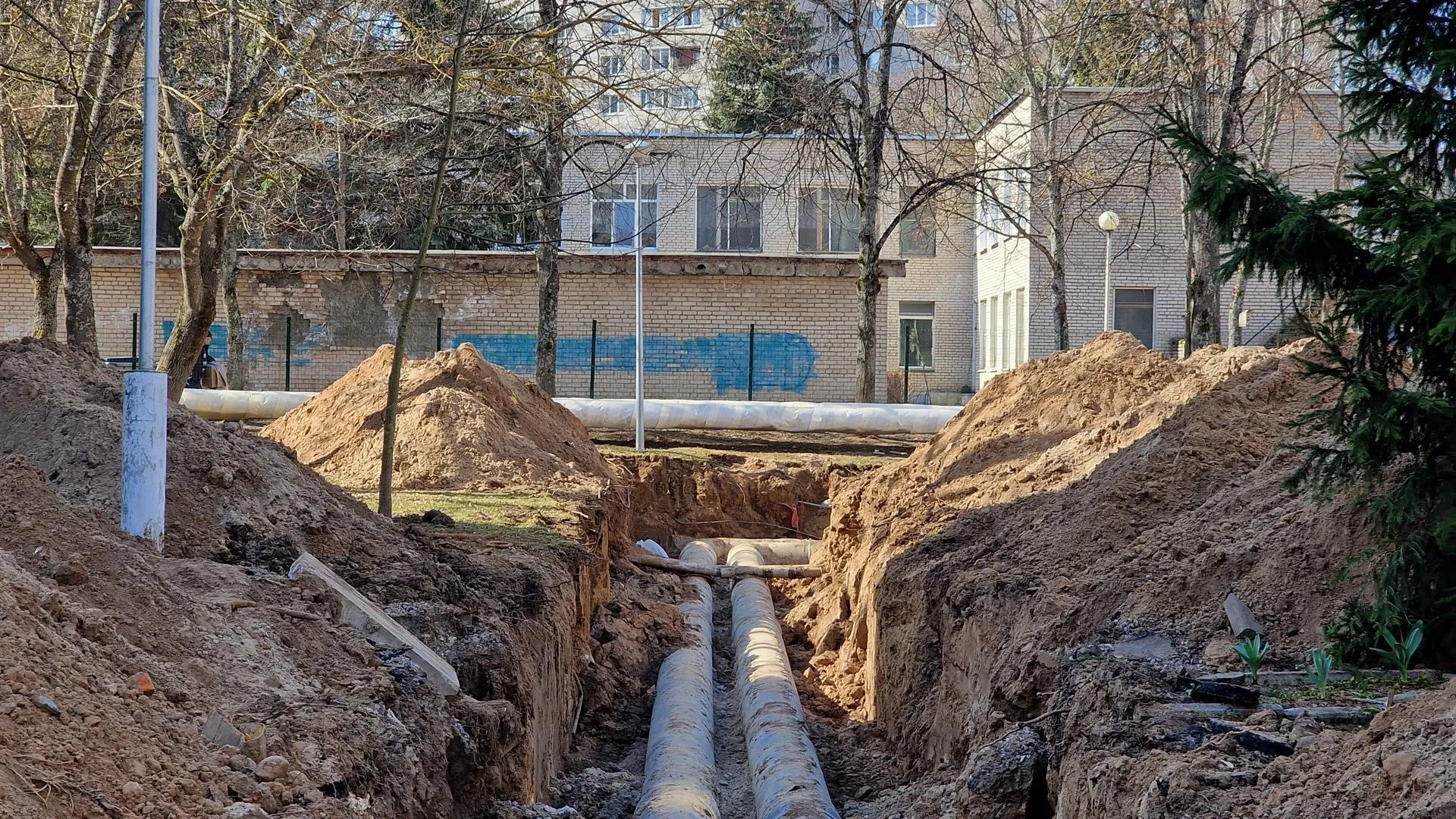 REGIONS/Арина Кузнецова