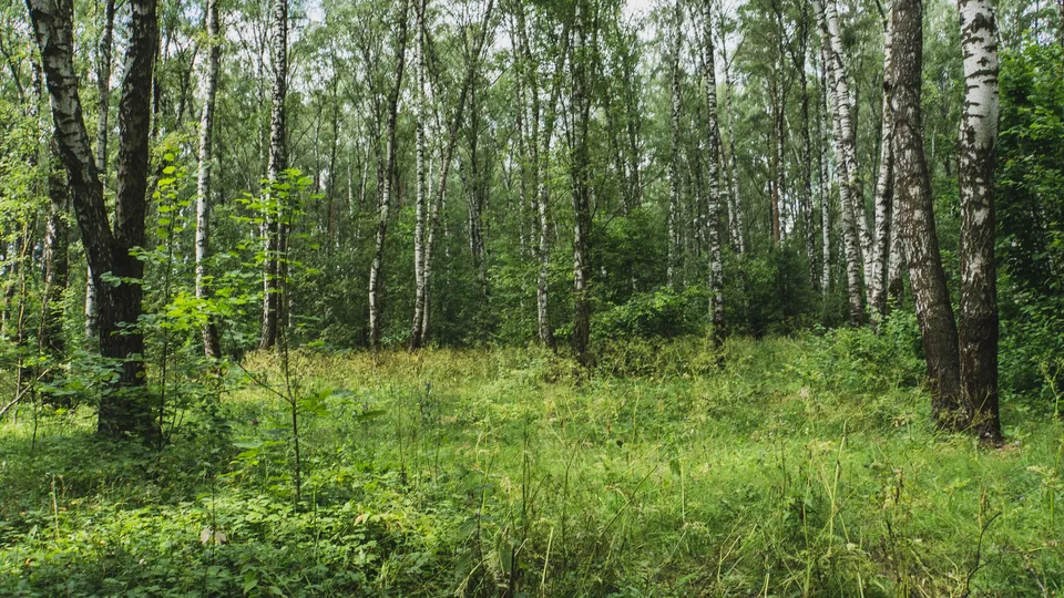 Фото: Regions.ru Наталия Надточая