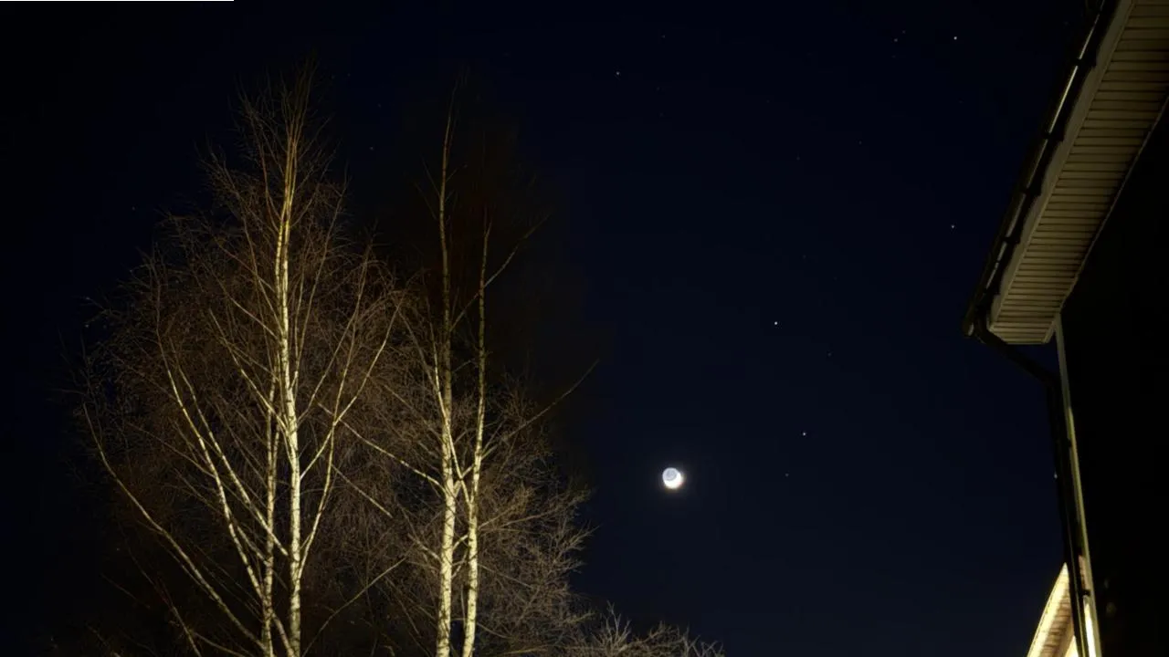 МедиаБанк Подмосковья/Данила Кирьянов