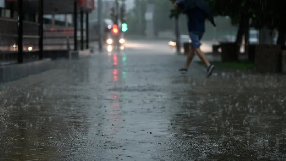 Фото: МедиаБанк Подмосковья/Николай Корешков