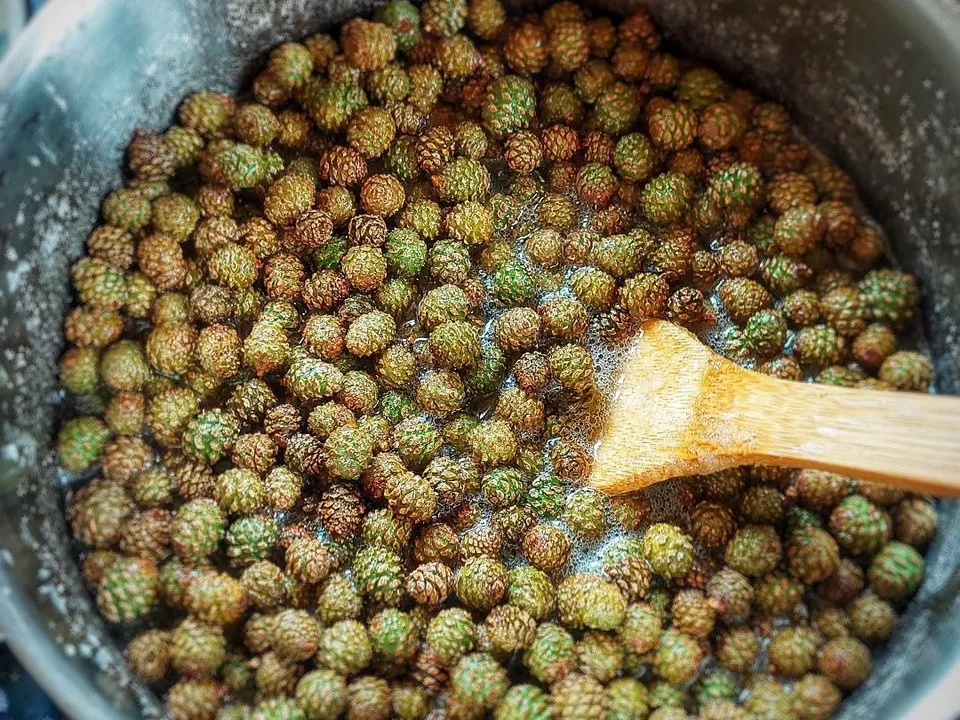 Фото: Василий Потапов&nbsp;