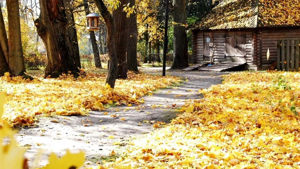 Фото: Министерство культуры и туризма Московской области