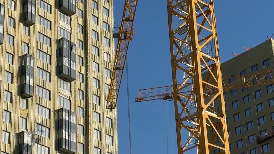 Фото: МедиаБанк Подмосковья/Ксения Казакова