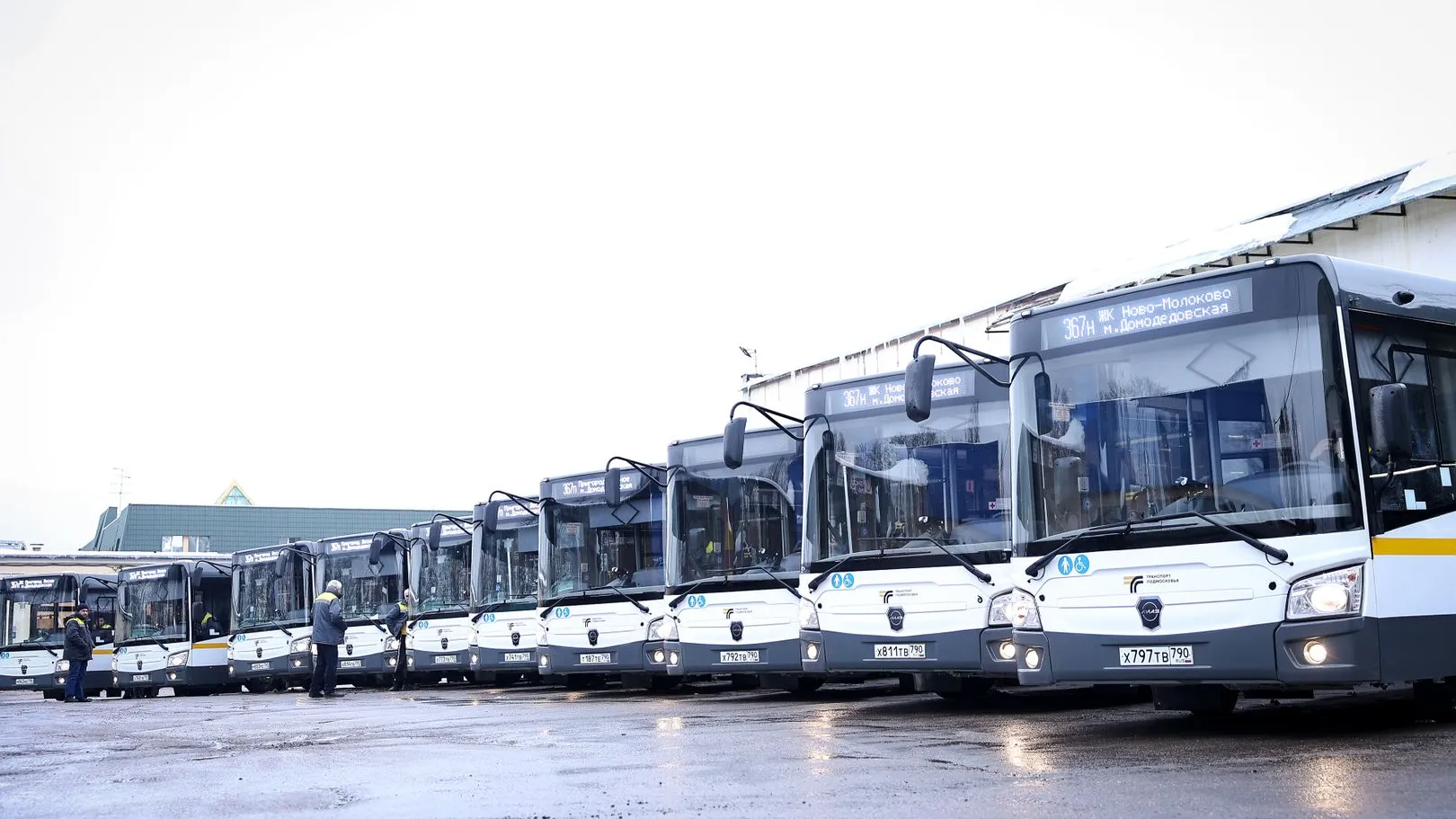 Фото: медиасток.рф