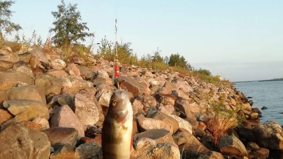 Министерство экологии и природопользования МО