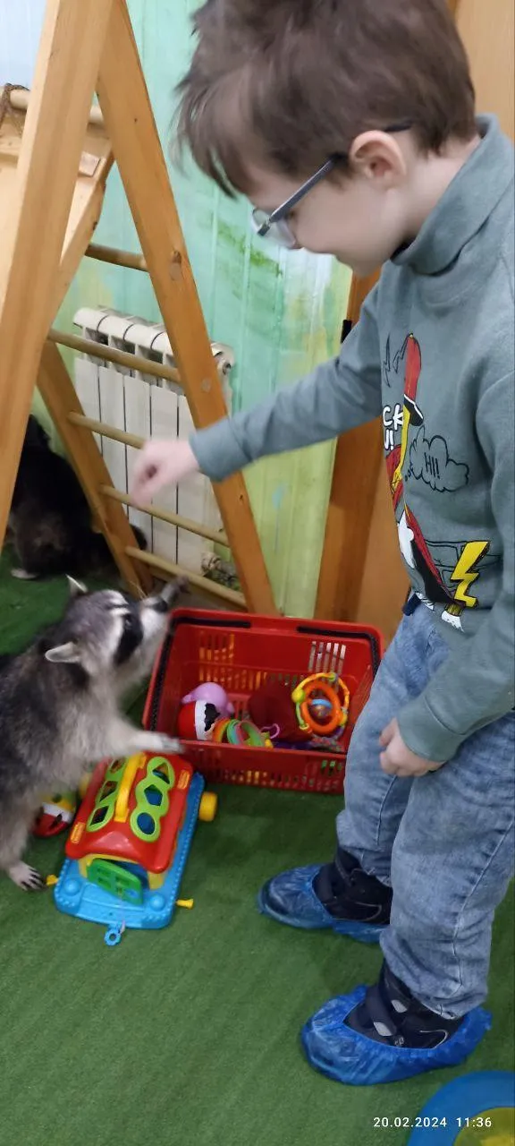 Фото: Семейный центр «Зарайский»