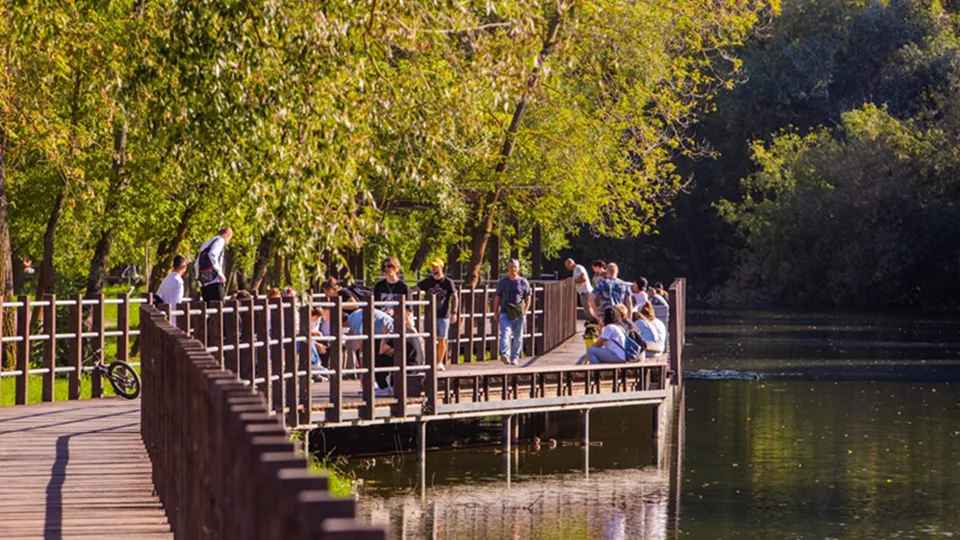 Фото: Министерство благоустройства Московской области