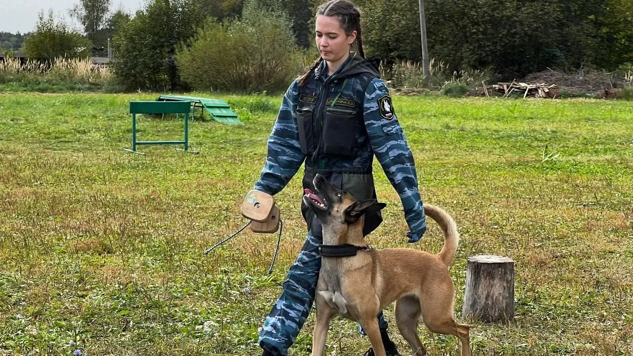Фото: Министерство образования Московской области