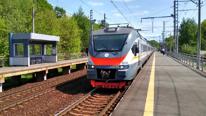 Фото: МедиаБанк Подмосковья/Ирина Моисеева