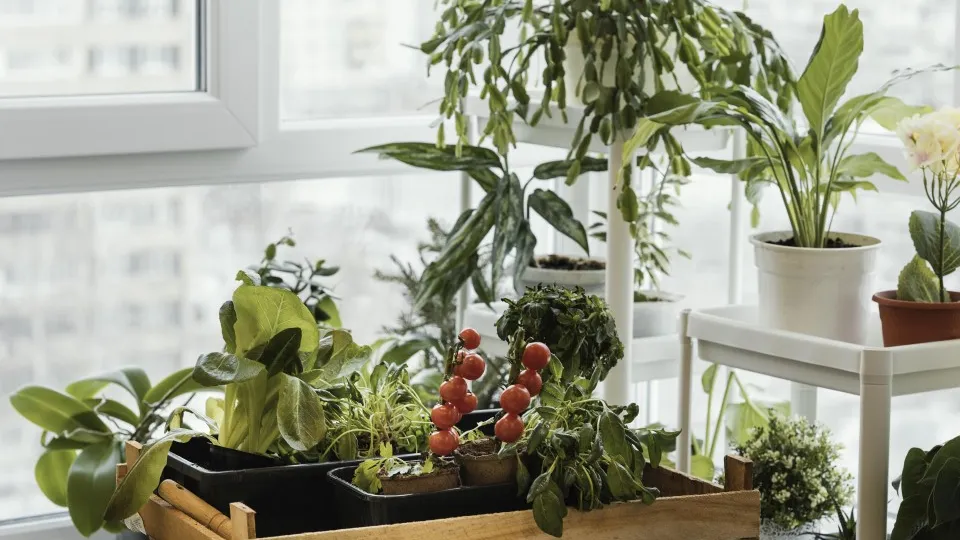 Фото: freepik.com