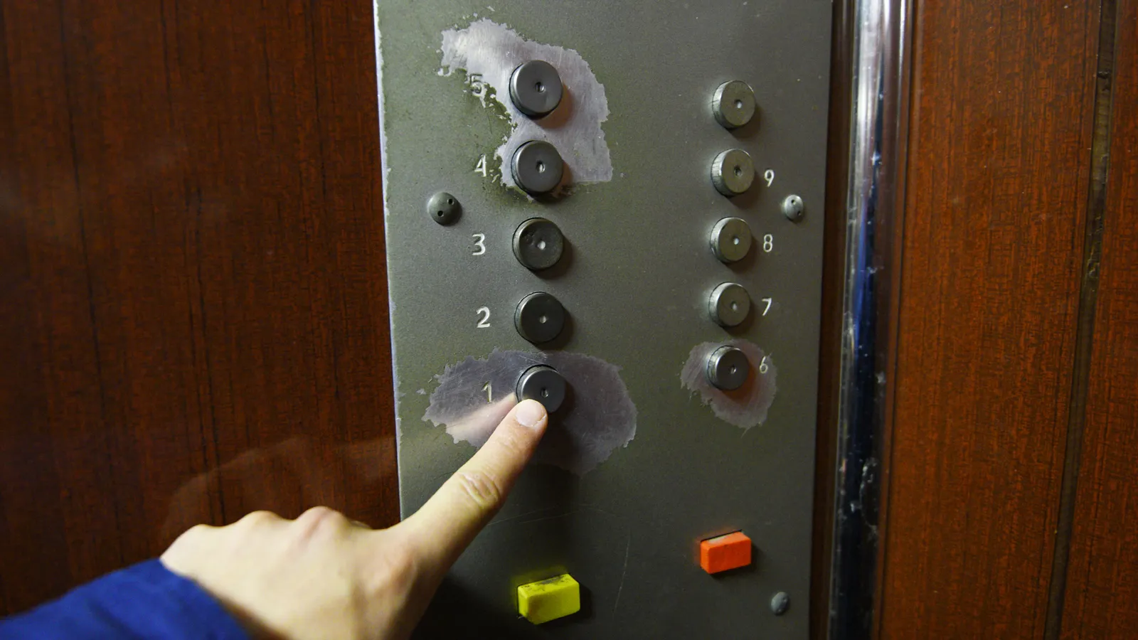 Фото: Медиаархив Подмосковья/Александр Кожохин