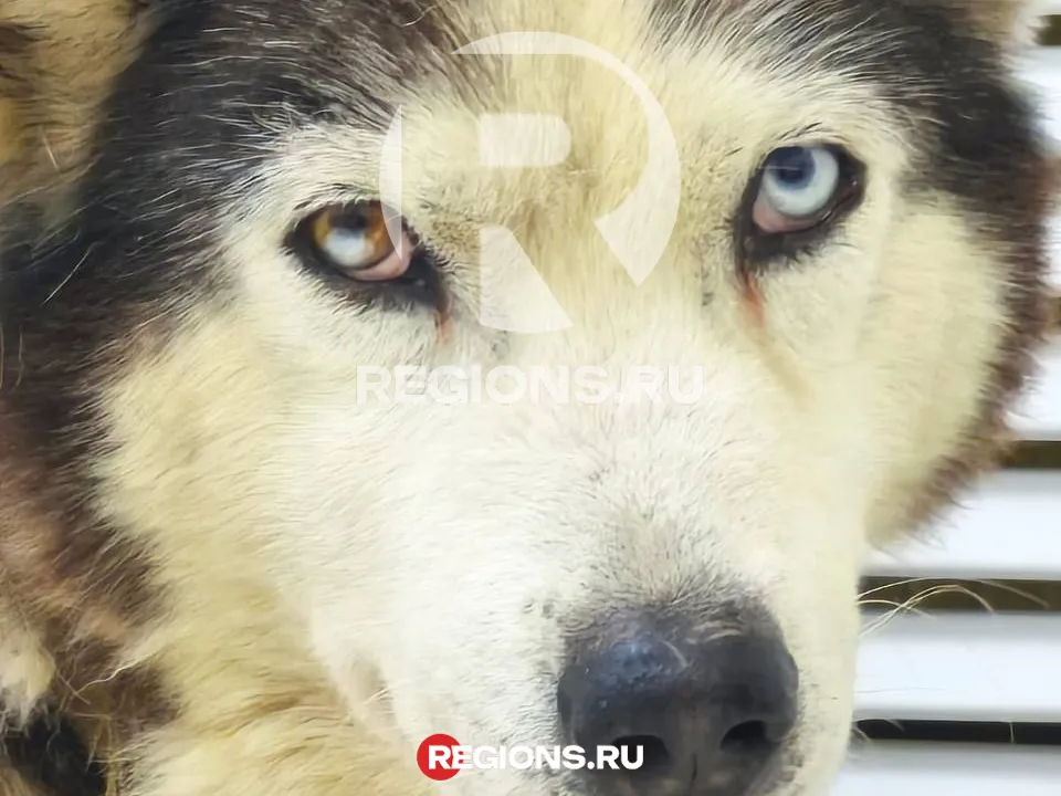 Фото: личный архив Ангелины Дубровой