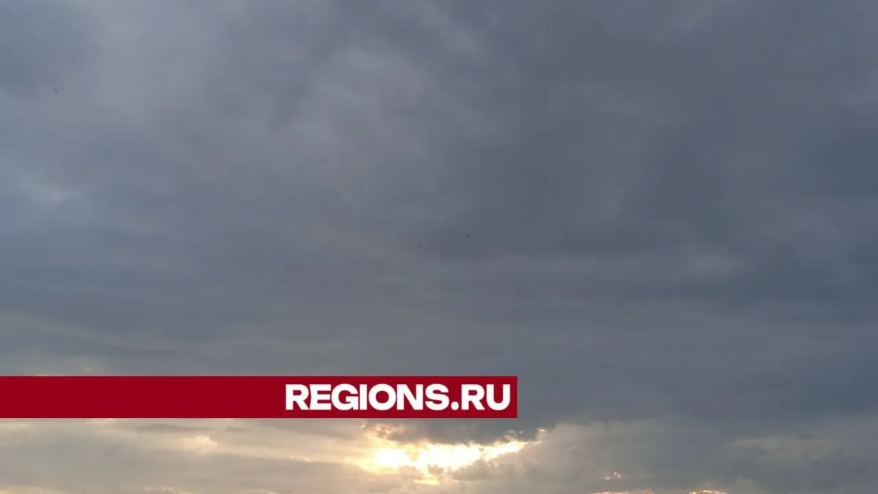 Фото: REGIONS/Юлия Куделькина