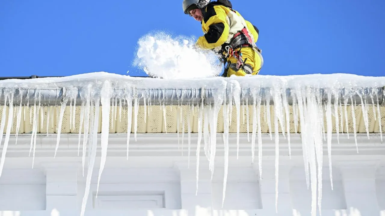 РИА Новости/Максим Богодвид