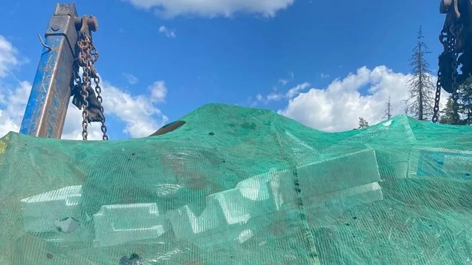 Фото: Министерство экологии и природопользования Московской области